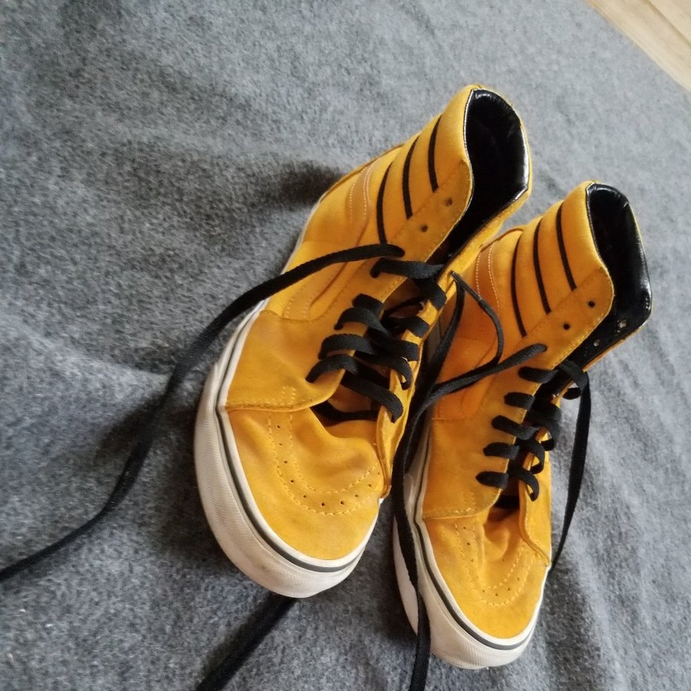 Vans SK8-HI sport striped high-tops